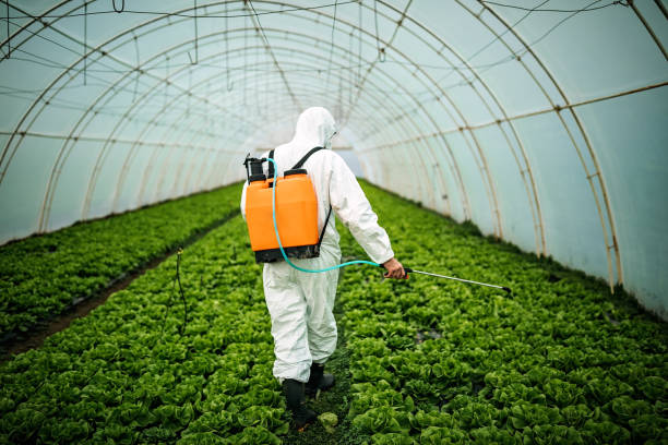 Best Local Pest Control Services  in Latham, NY